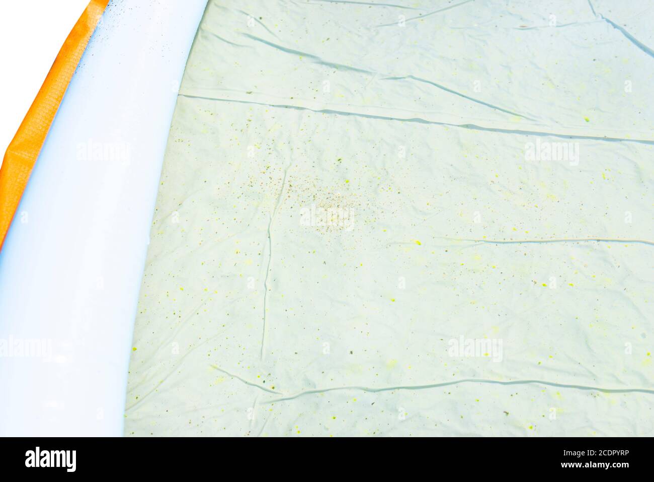 Mildew stains in an unclean domestic pool, dirty and blooming water