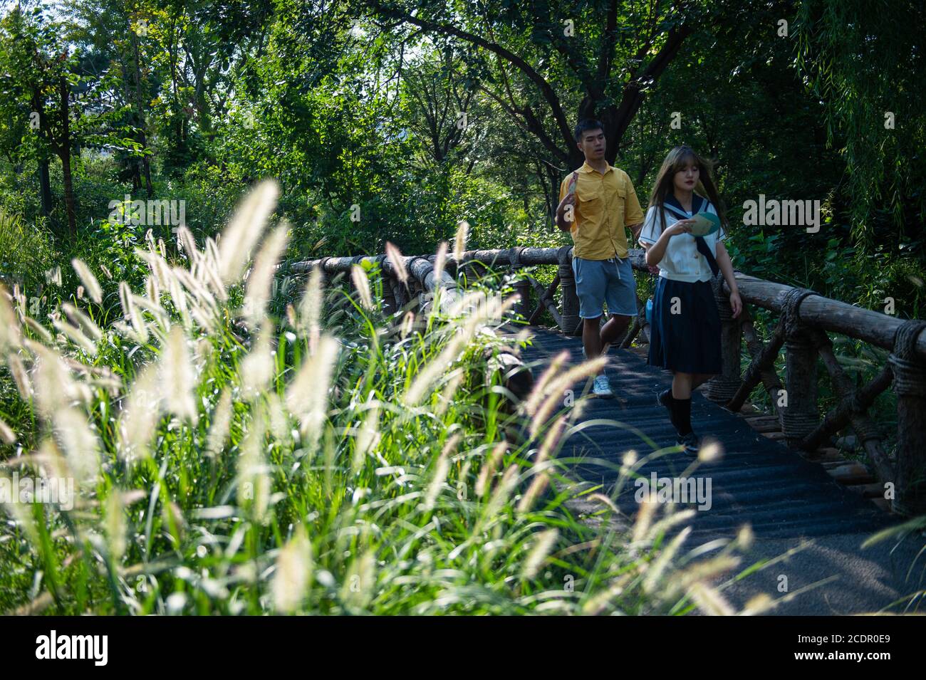 Beijing, China. 28th Aug, 2020. People take a walk at Guangyanggu City  Forest Park in Xicheng