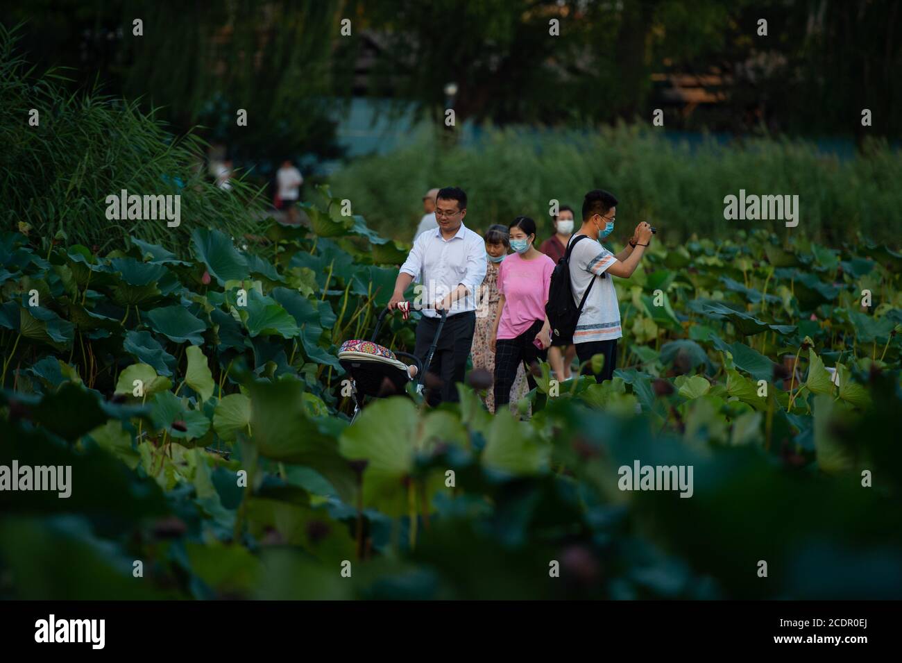 Beijing, China. 28th Aug, 2020. People enjoy leisure time at Xihai Wetland  Park in Xicheng District of Beijing, capital of China, Aug. 28, 2020. In  recent years, Beijing has been developing and