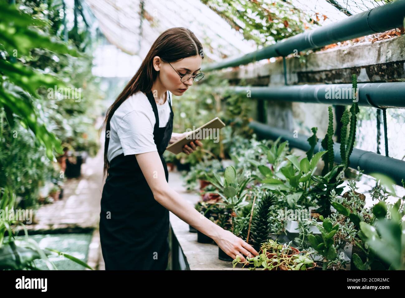 Young woman gardener in glasses with digital tablet working in a garden ...