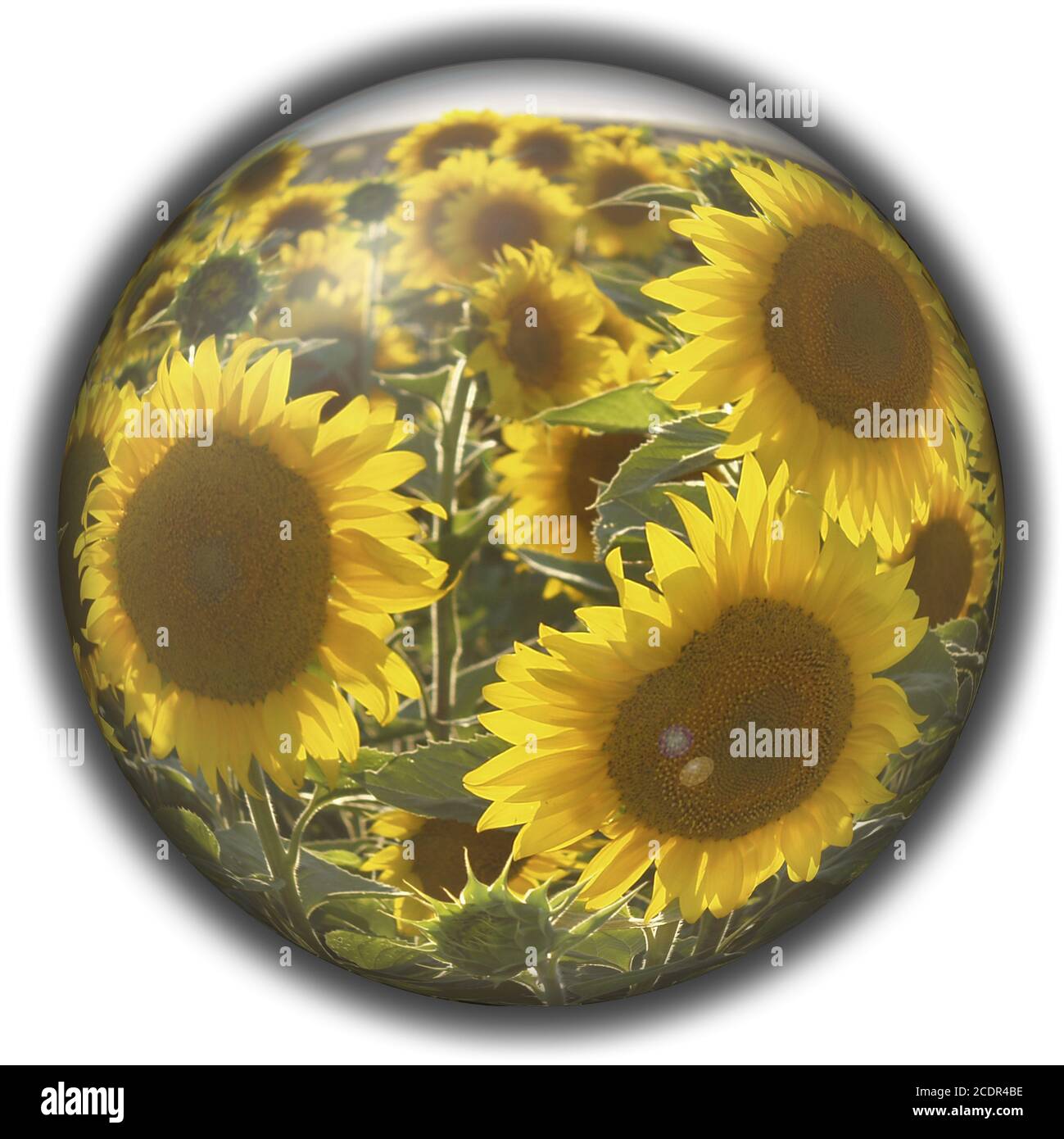 Crystal sphere hi-res stock photography and images - Alamy