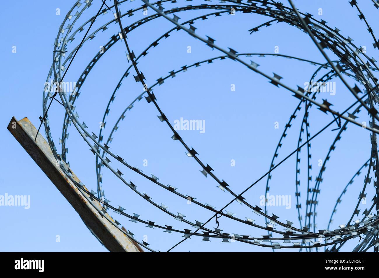Barbed wire on the fence. Protective fencing specially protected object of barbed wire. Stamped barbed wire Stock Photo