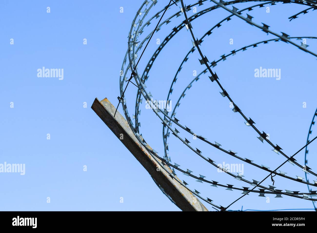 Barbed wire on the fence. Protective fencing specially protected object of barbed wire. Stamped barbed wire Stock Photo