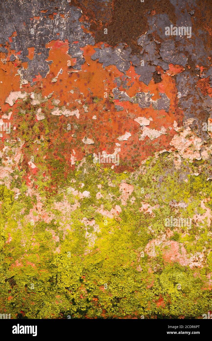Old wall with damp and peeling paint Stock Photo