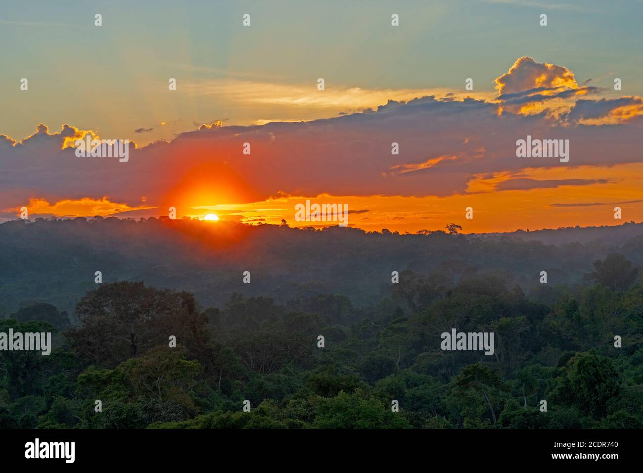 Sunrise over the Amazon Rainforest near Alta Floresta, Brazil Stock