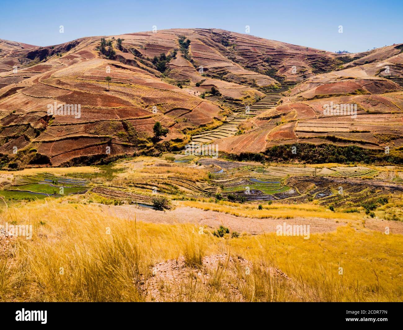Colorful hills with terraced rice paddy fields in the highlands of Madagascar Stock Photo