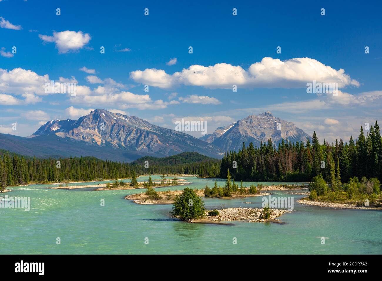 The Athabasca River along the icefields Parkway near Jasper, Alberta, Canada Stock Photo