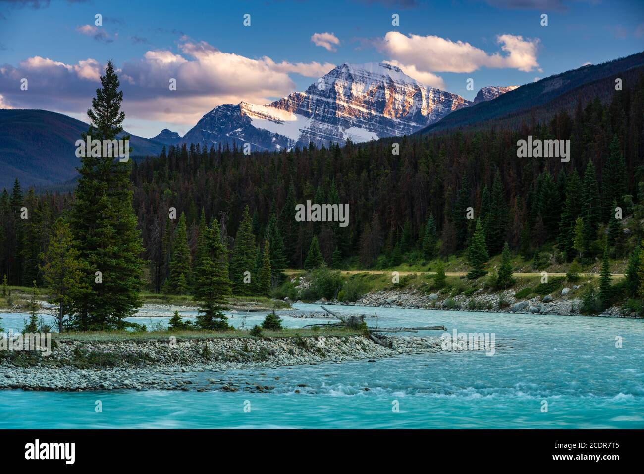 Mount Edith Cavell and the Athabasca  River in Jasper National Park, Alberta, Canada. Stock Photo