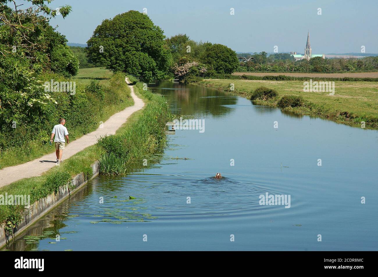 Chichester Canal from Hunston Bridge. Cathedral of the Holy Trinity behind, man walking on Chichester Canal from Hunston Bridge. Cathedral of the Holy Trinity behind, man walking on