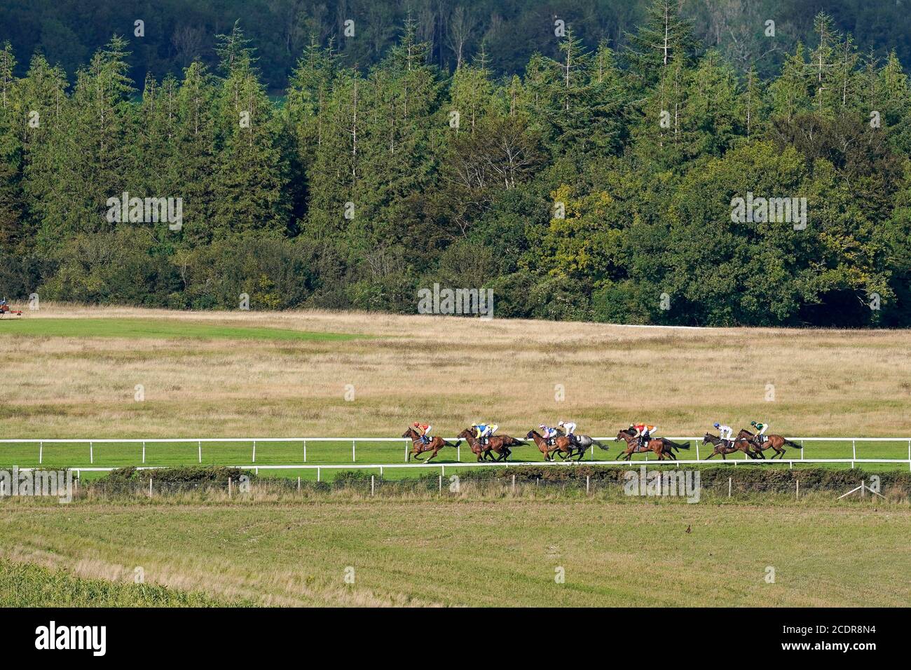 A general view of runners and riders in The Ladbrokes Get Your Daily Odds Boost Handicap at Goodwood Racecourse. Stock Photo