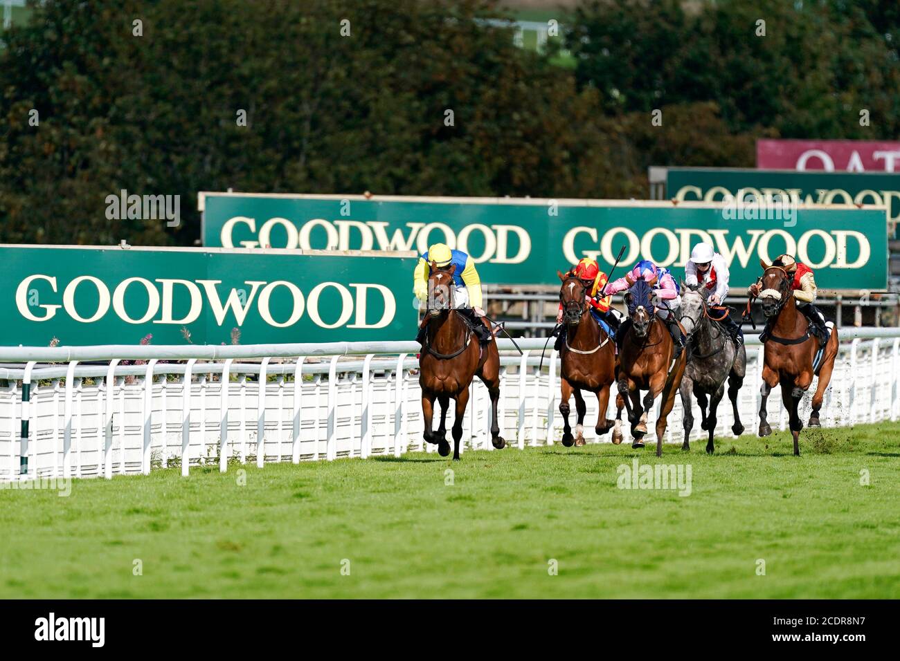 Oisin Murphy on board Seinesational (third left) on their way to winning The Ladbrokes Get Your Daily Odds Boost Handicap at Goodwood Racecourse. Stock Photo