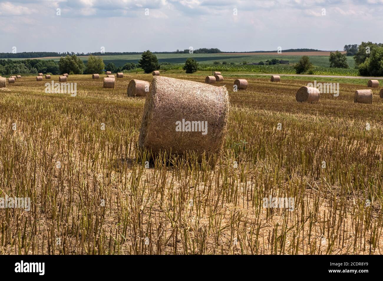 Hay bales under cloudy sky on harvested wheat field Stock Photo - Alamy