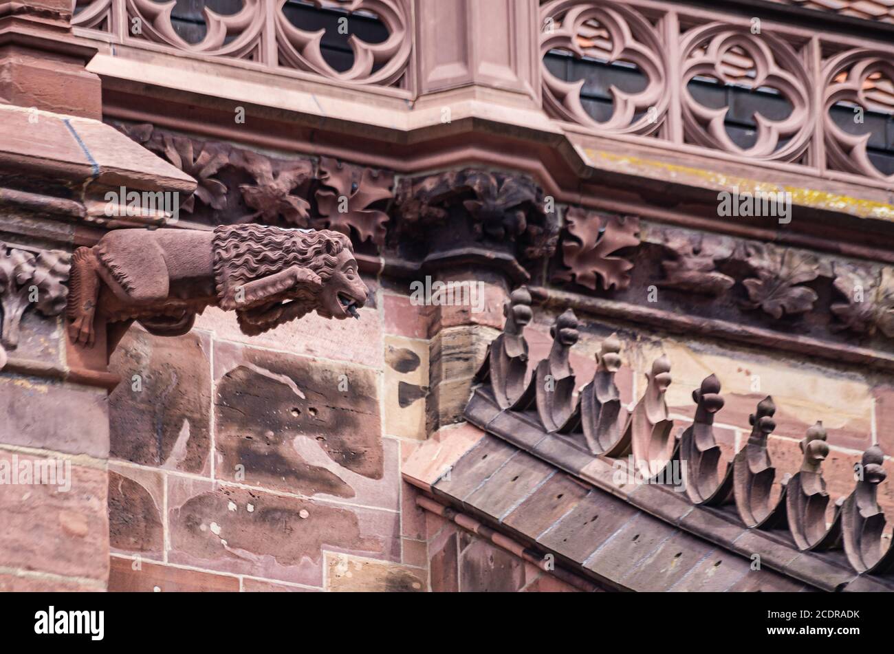 Details with waterspout on the nave facade of the Cathedral of Our Lady, Freiburg im Breisgau, Baden-Wurttemberg, Germany. Stock Photo