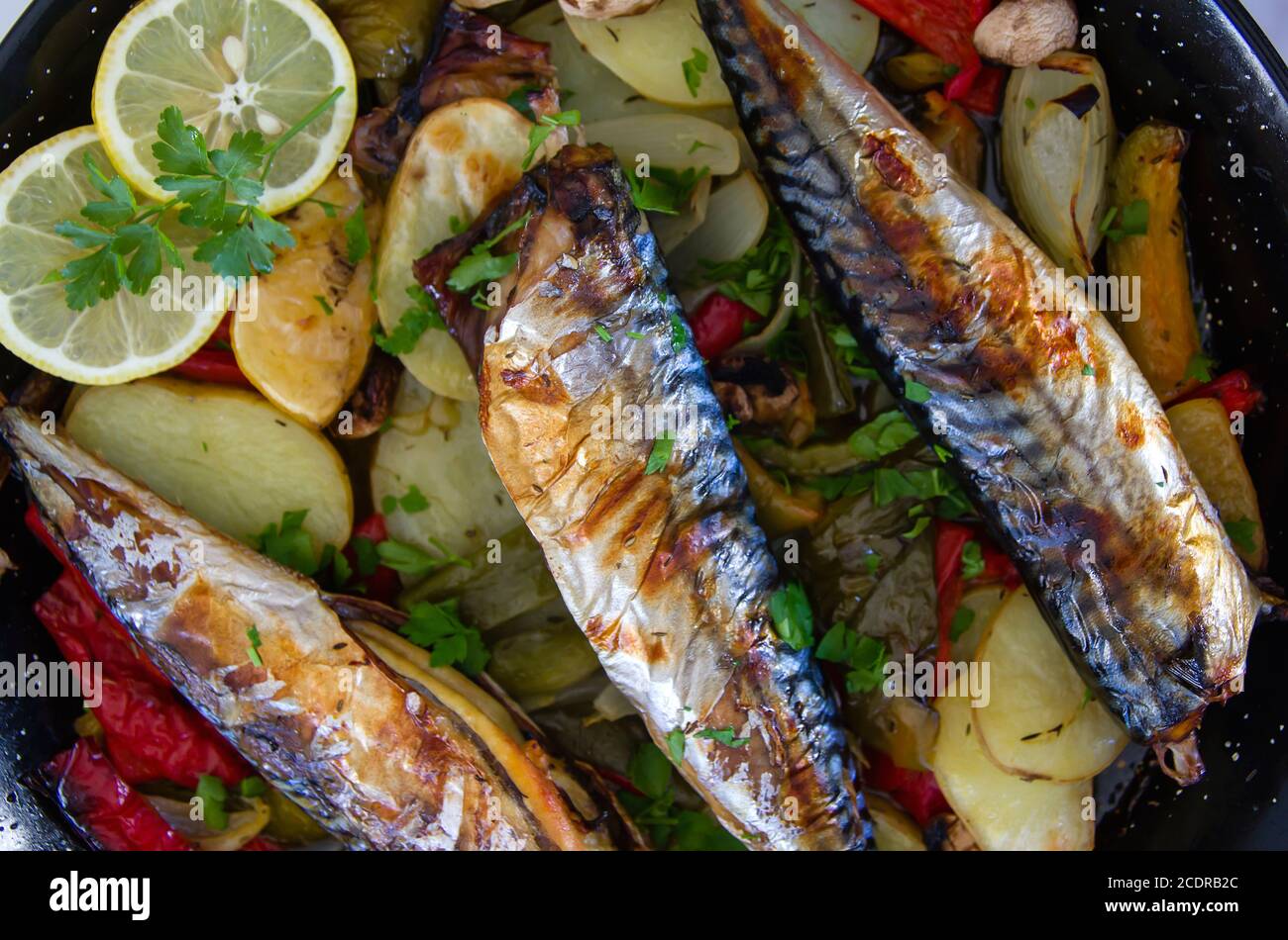 Delicious oven roasted mackerel fish dish Stock Photo Alamy