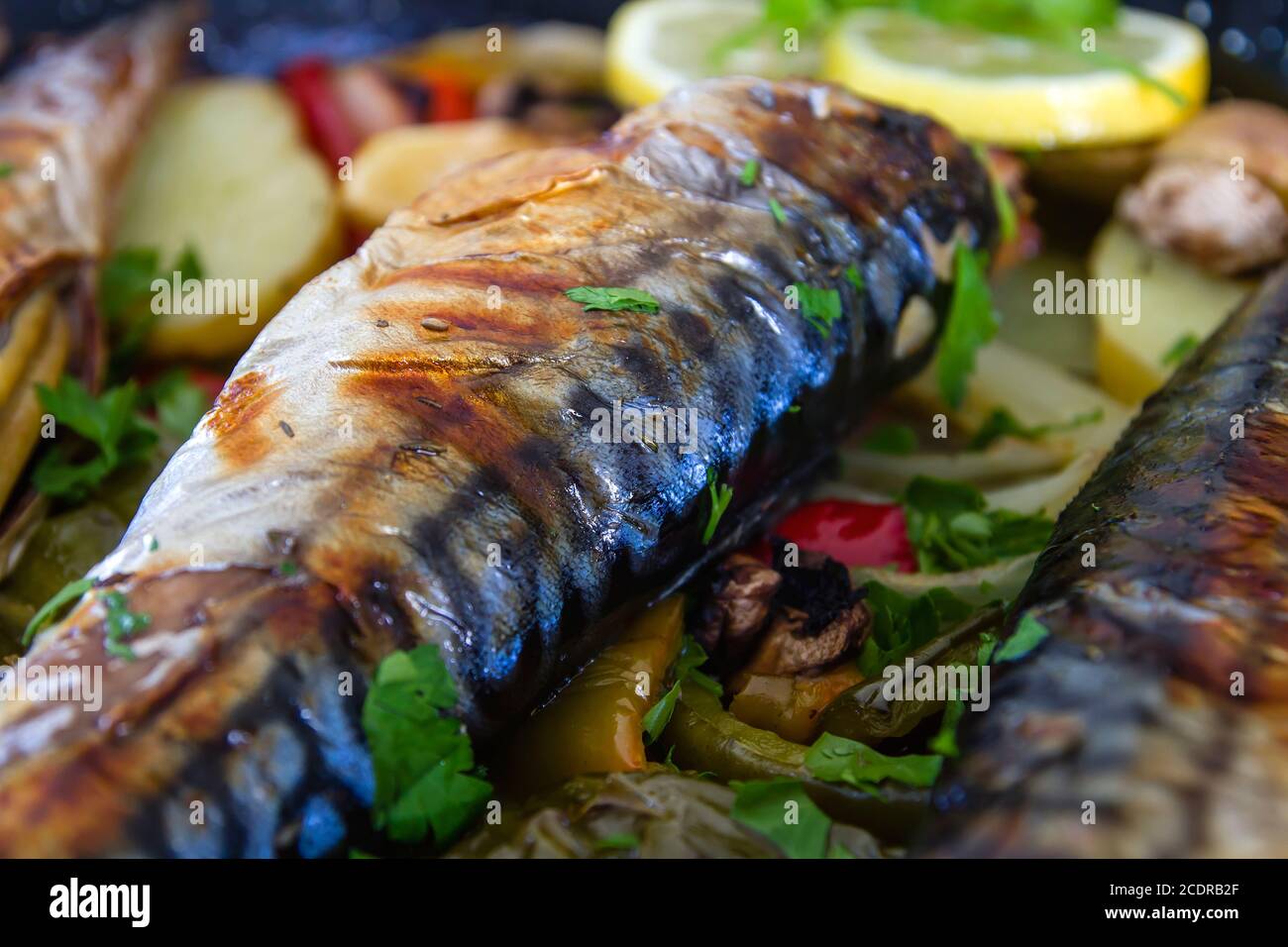 Delicious ovenroasted mackerel dish detail Stock Photo Alamy