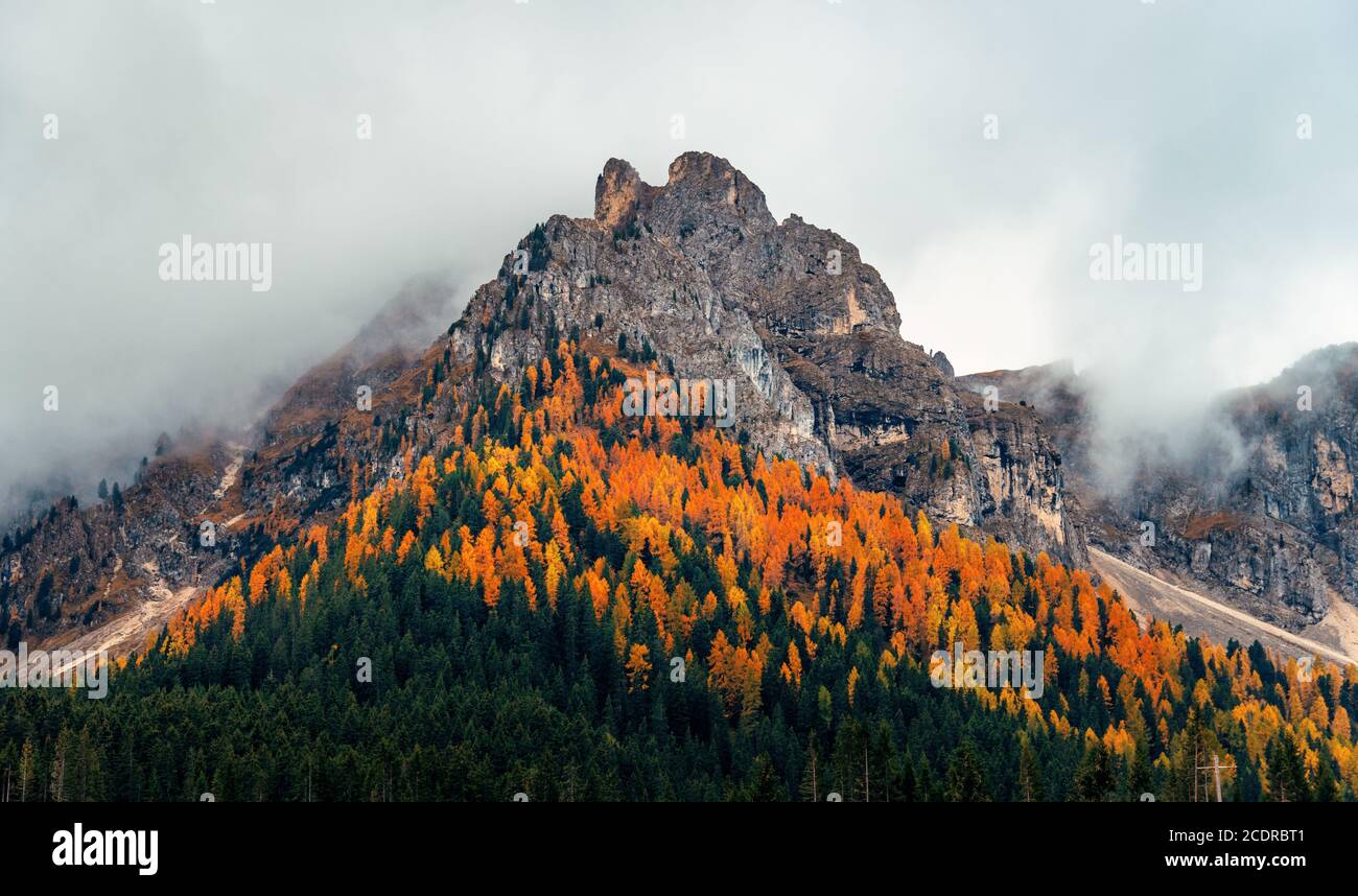 Dolomites natural landcape with Autumn colors in fog with house in North Italy Stock Photo