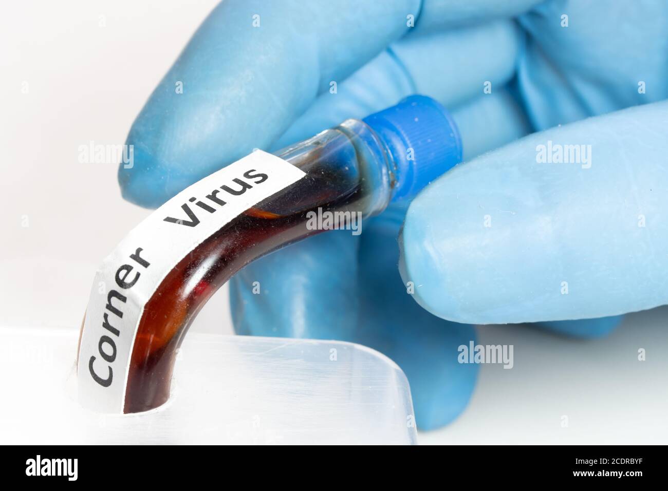 Hand in glove holding a turned test tubes with labels of corner virus. A Research of a fictional virus at laboratory. Stock Photo