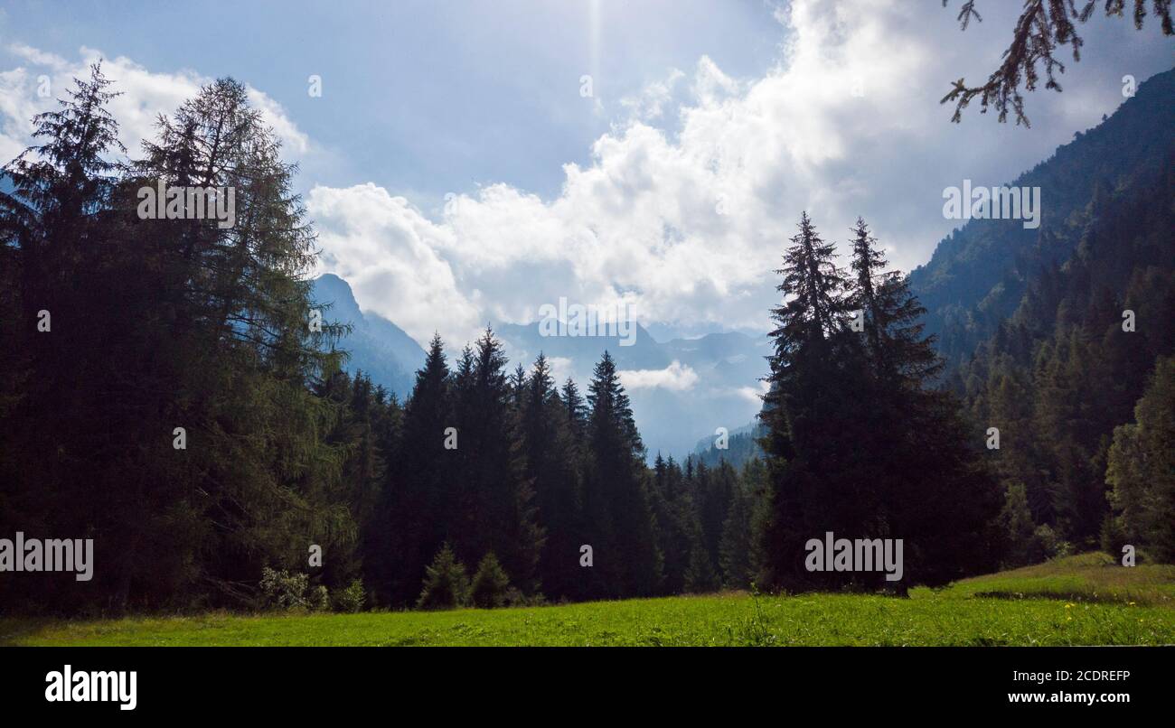 Alpine panorama in summer time, cloudy day on mountains Stock Photo - Alamy