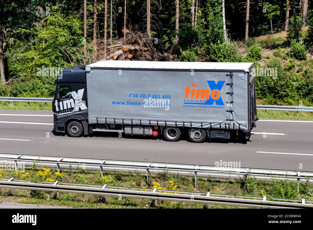 Timex logistics sales