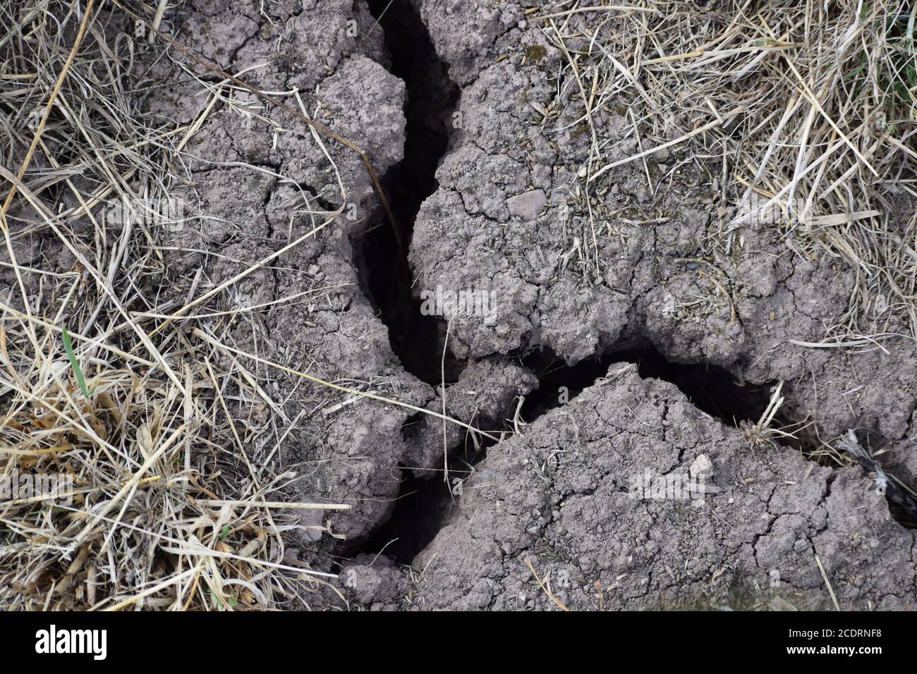 Stress crack in the Earth due to lack of Rain Stock Photo