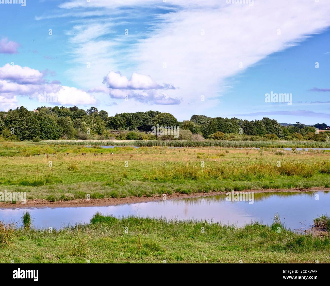 Bowling Green Marsh Nature Reserve, Topsham Devon UK Stock Photo Alamy