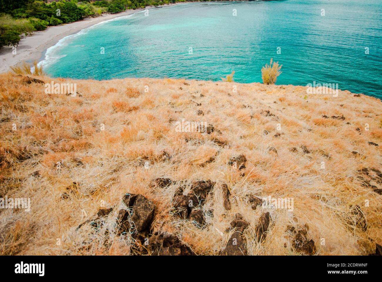 Scenic view of Anawangin Cove, Zambales, Philippines. Stock Photo