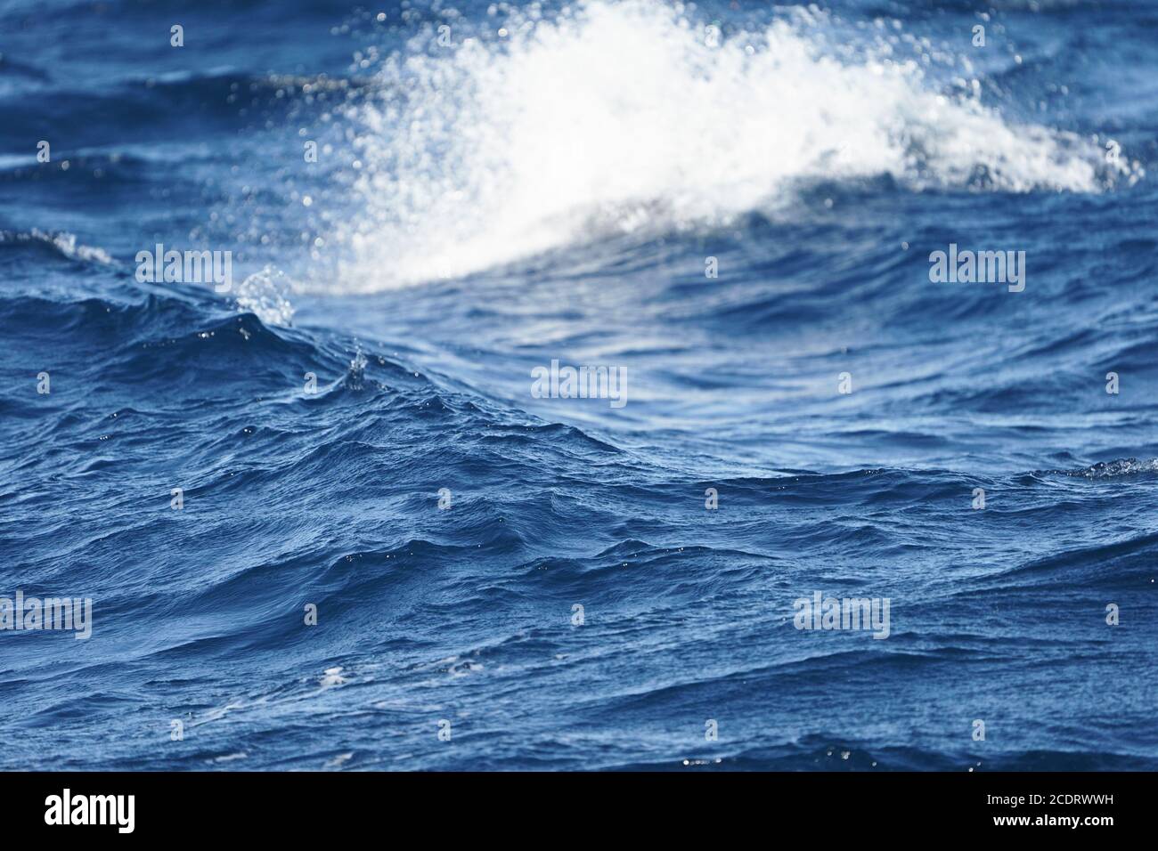 Waves on open sea, Andalusia, Spain. Stock Photo
