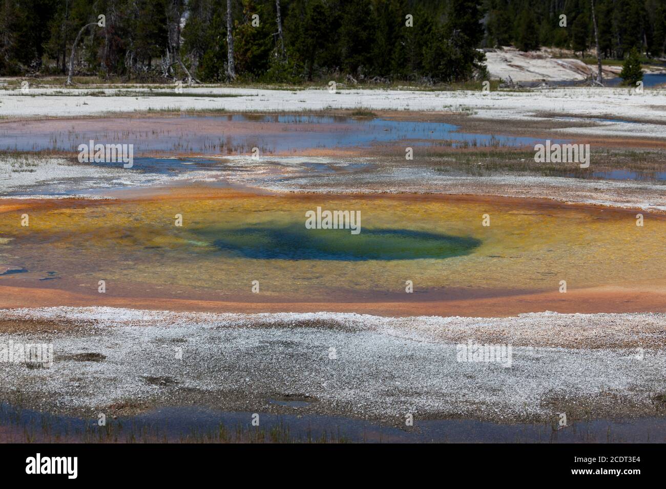 Geothermal bacteria in the hot waters of Chromatic Pool create green
