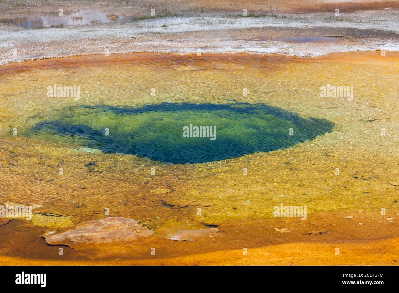 Geothermal bacteria in the hot waters of Chromatic Pool create green