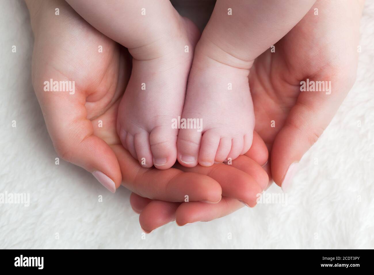 Newborn baby feet in mother#39;s hands. Child care, feeling safe, protect. Stock Photo