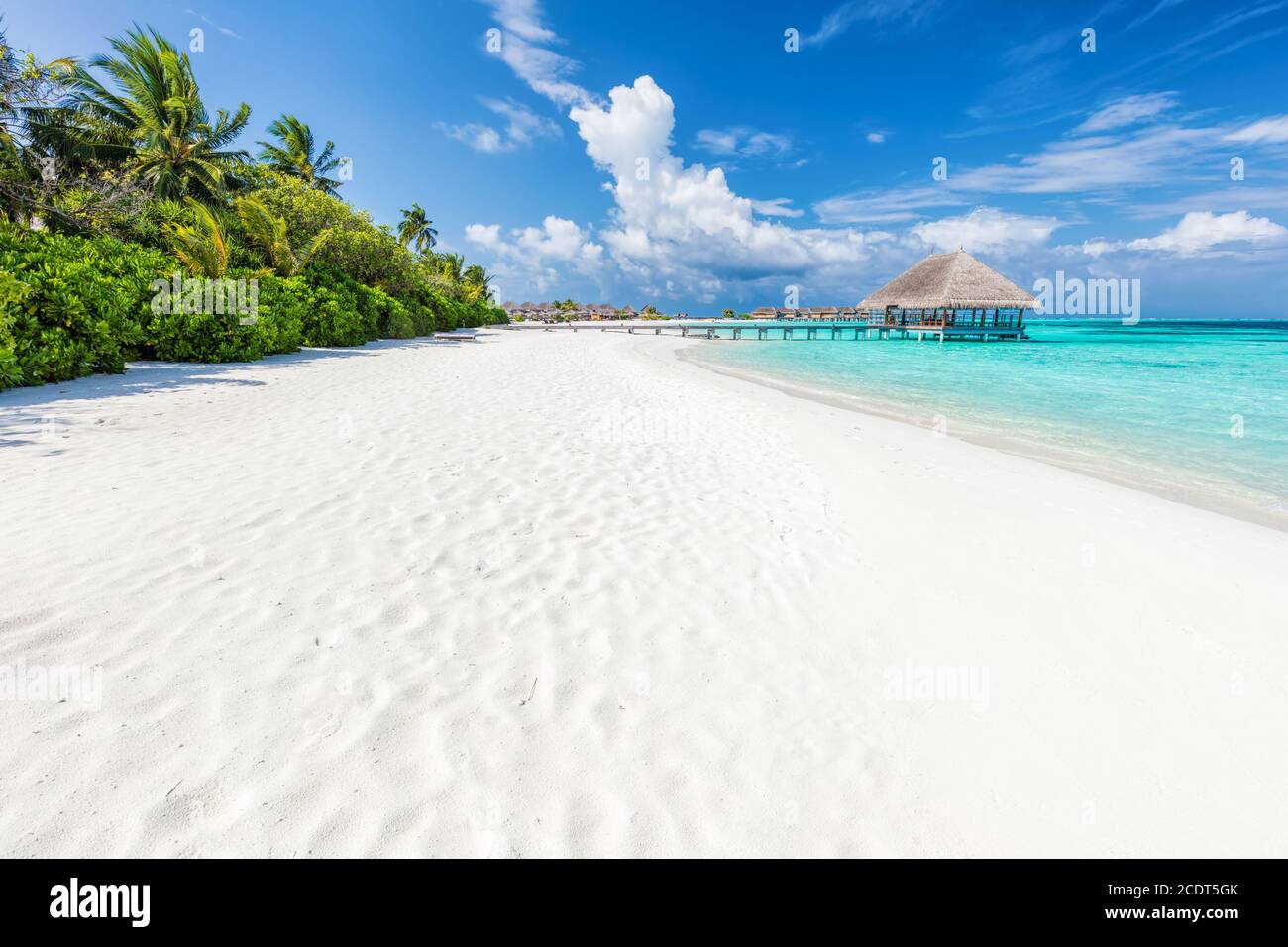 Wide sandy beach on a tropical island in Maldives. Palms and water lodge Stock Photo