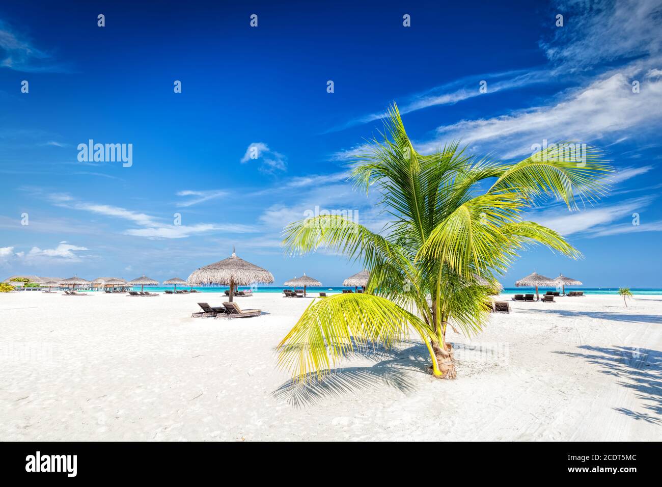Beach with coconut palms and deckchairs on a small island resort in Maldives Stock Photo