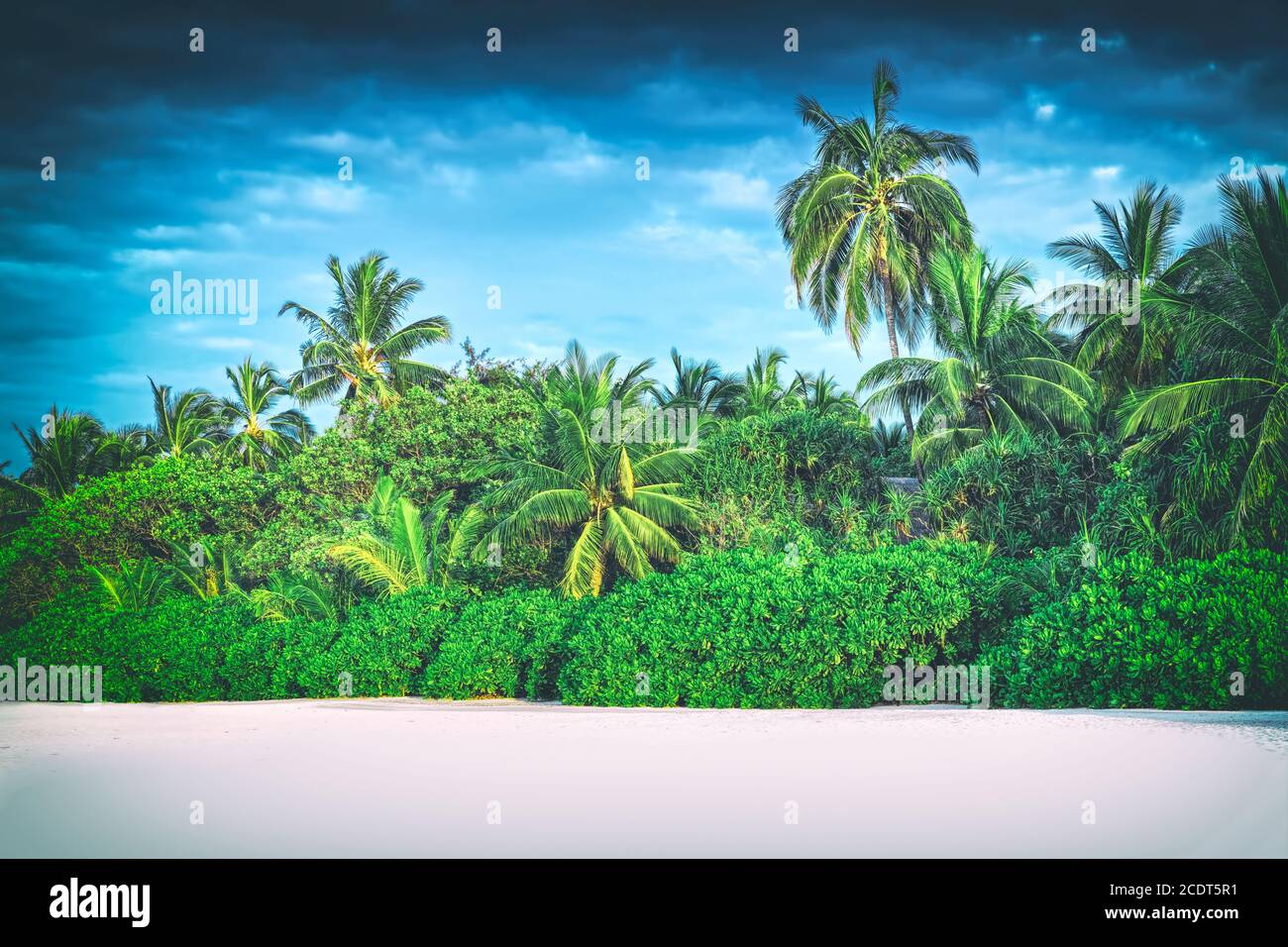 Retro stylized image of tropical island with coconut palm trees. Maldives Stock Photo