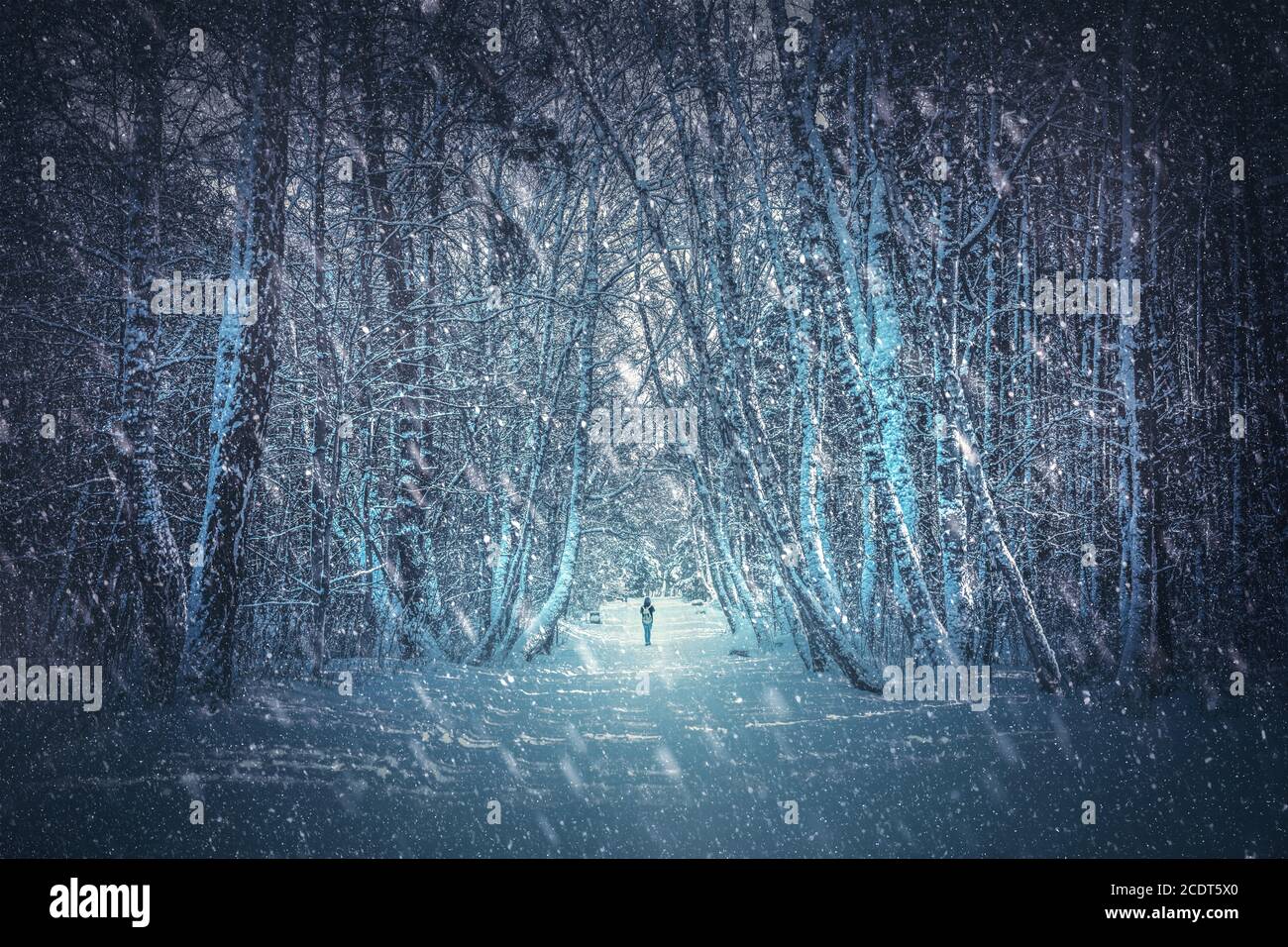 Person in the forest hi-res stock photography and images - Alamy