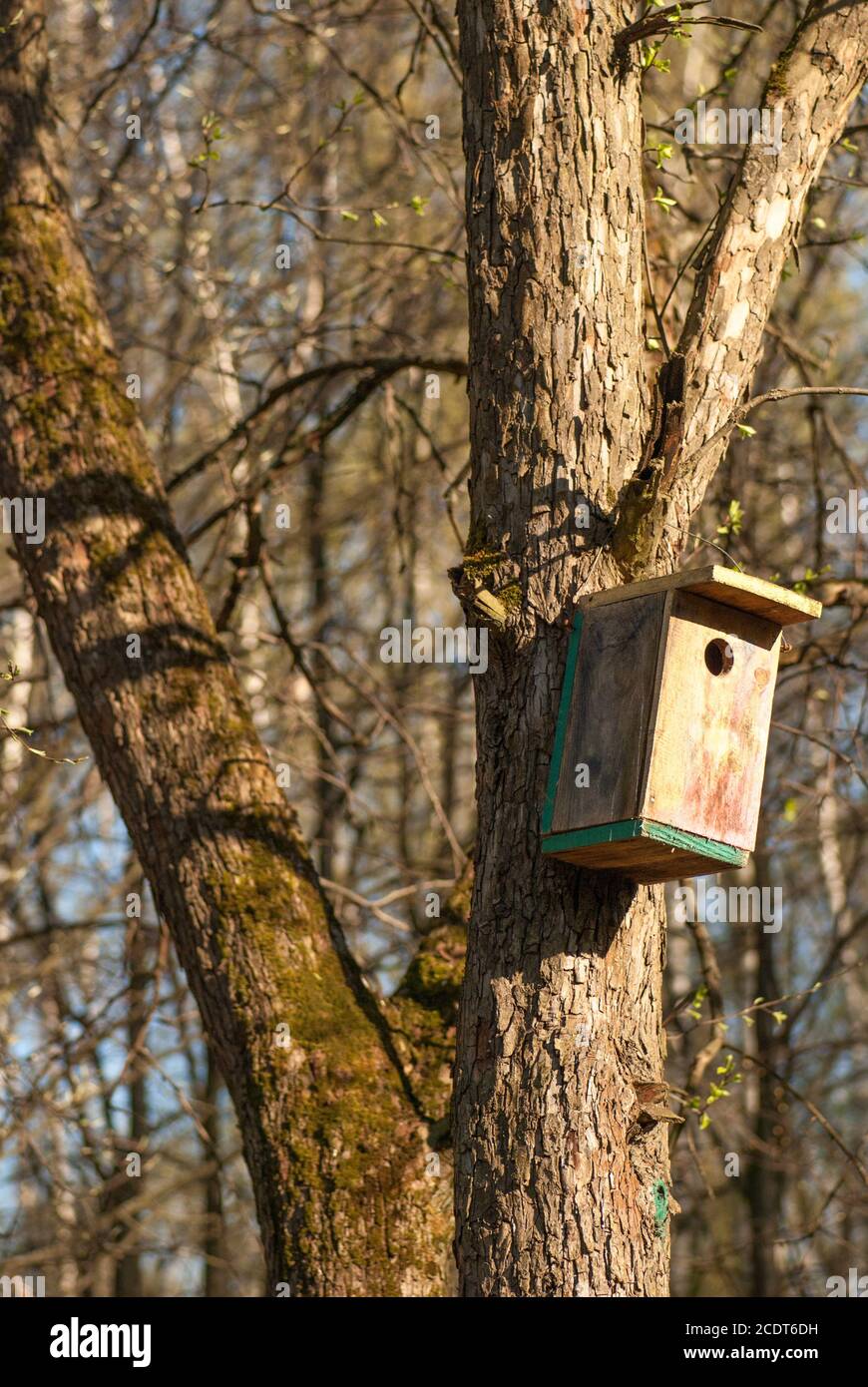 wooden birdhouse hangs on the tree trunk Stock Photo