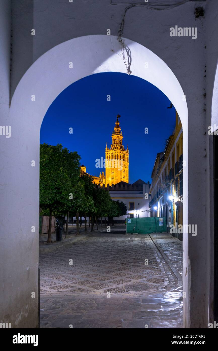 The Giralda bell tower lit up at night in Seville, Spain, Europe Stock Photo