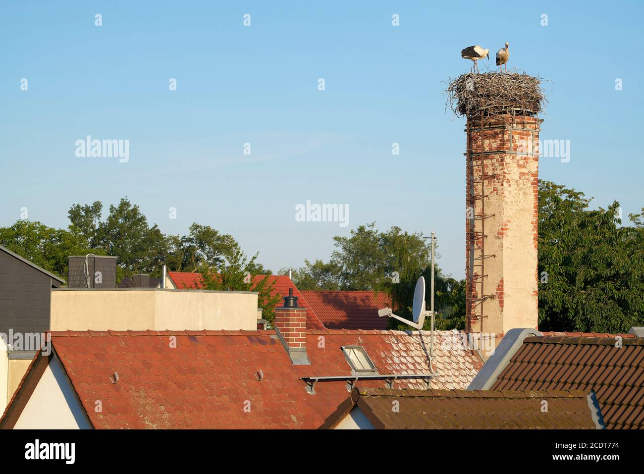 Stork nest above the roofs of the village Biederitz near Magdeburg Stock Photo