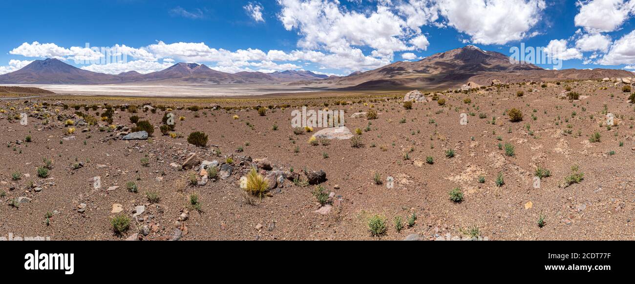 The Carcote salt flat in the Chilenean Andes is close to the border to Bolivia Stock Photo