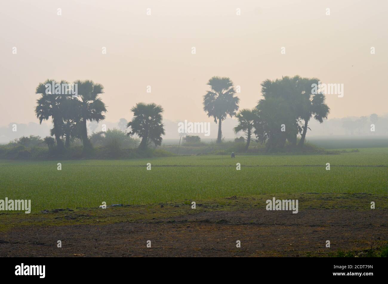 Remote Village scenery of Bangladesh Stock Photo - Alamy