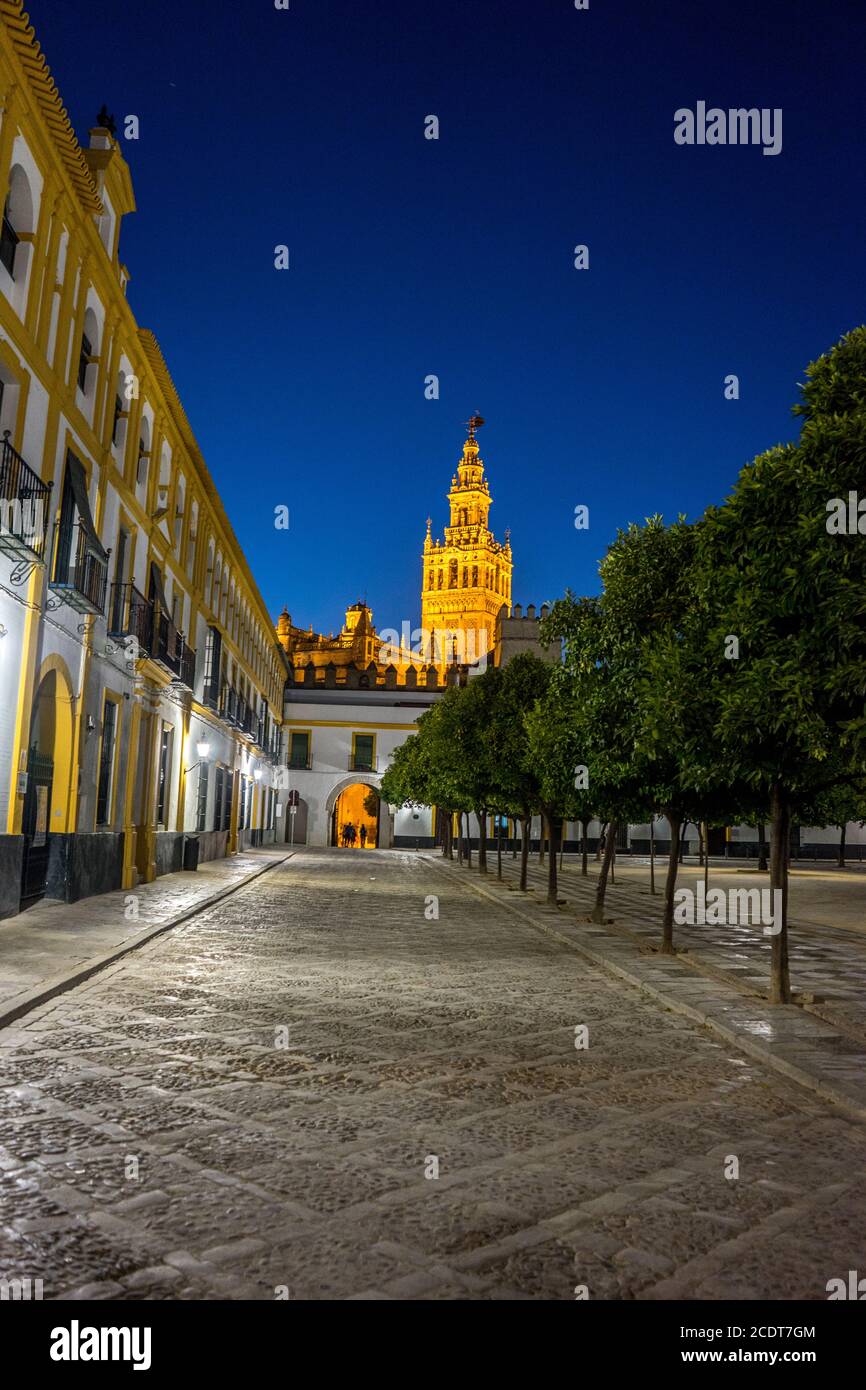 The Giralda bell tower lit up at night in Seville, Spain, Europe Stock Photo