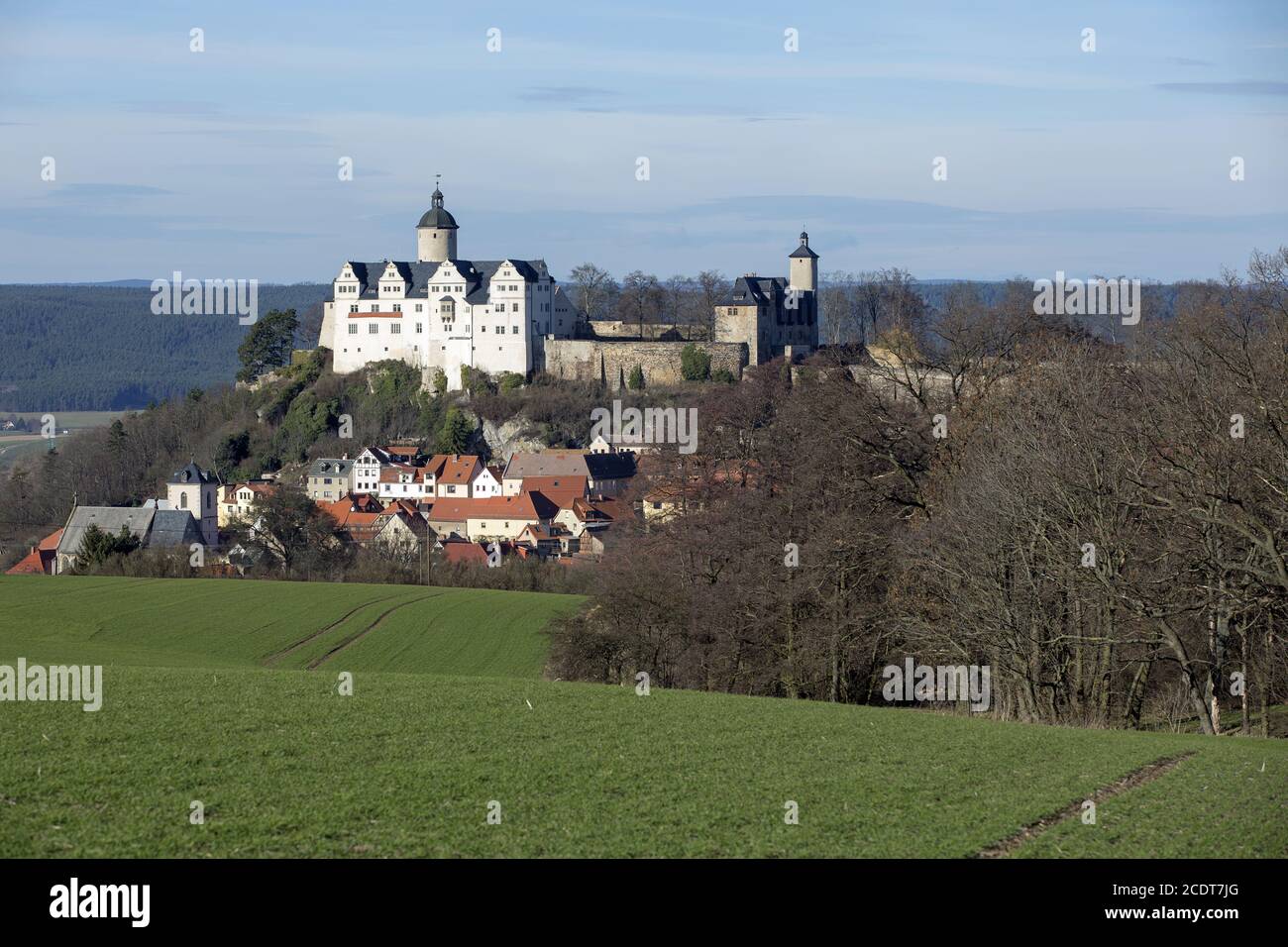 Castle Ranis and houses of the old town, Saale-Orla-Kreis, Thuringia, Germany, Europe Stock Photo