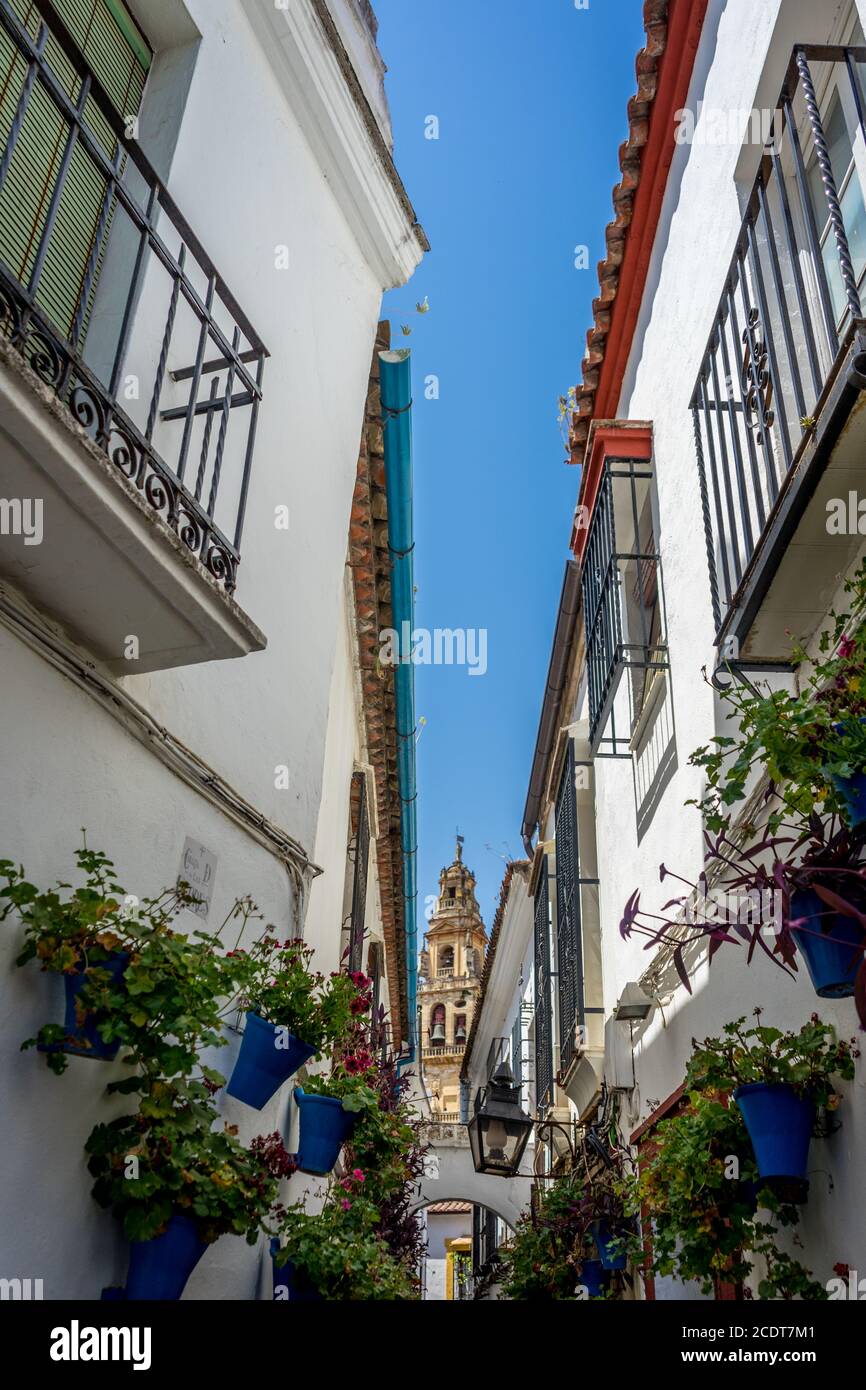 Bell Tower viewed from the streets of Cordoba, Spain, Europe,Calleja de las Flores Stock Photo