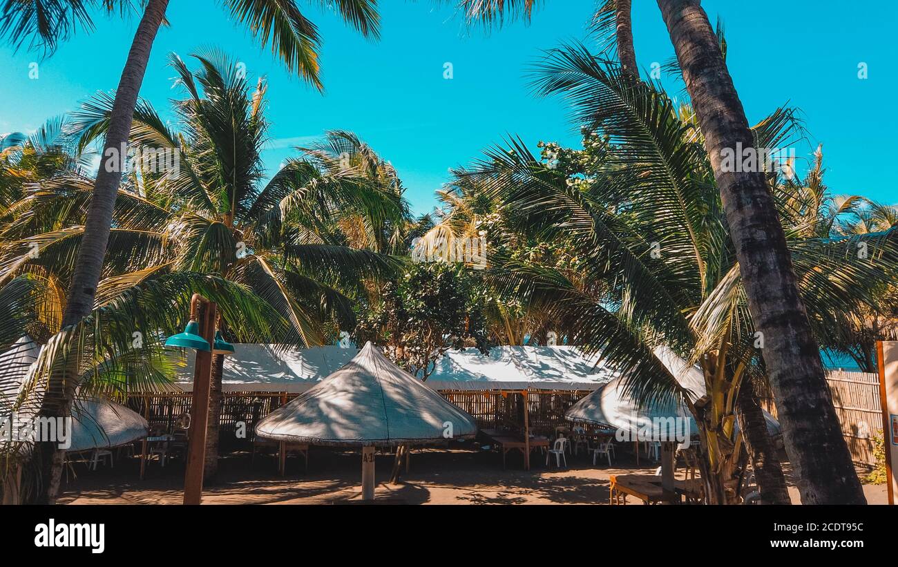 Aerial view palm trees resort hi-res stock photography and images - Alamy