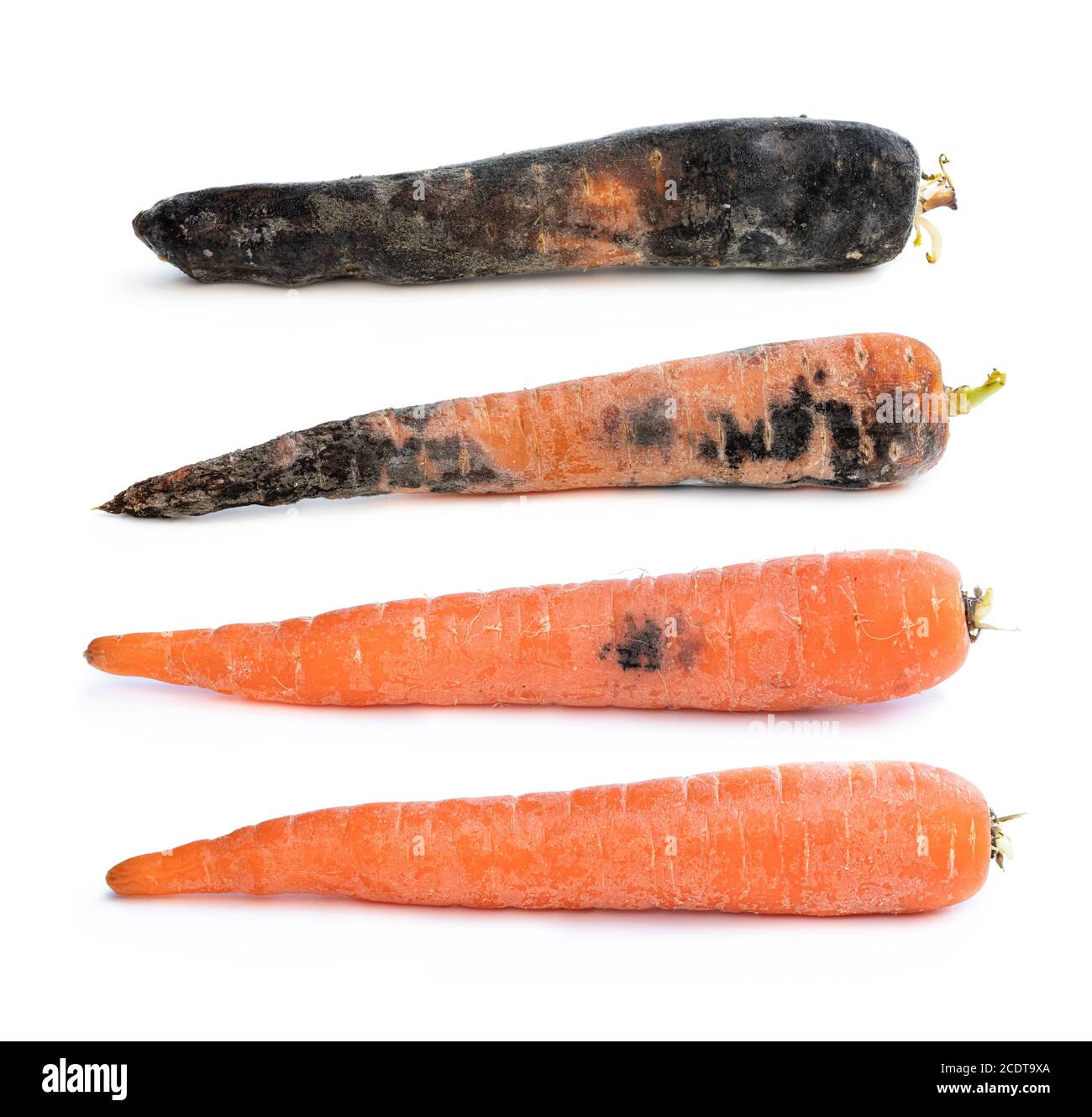 Set of carrots in different stages of decay Stock Photo Alamy