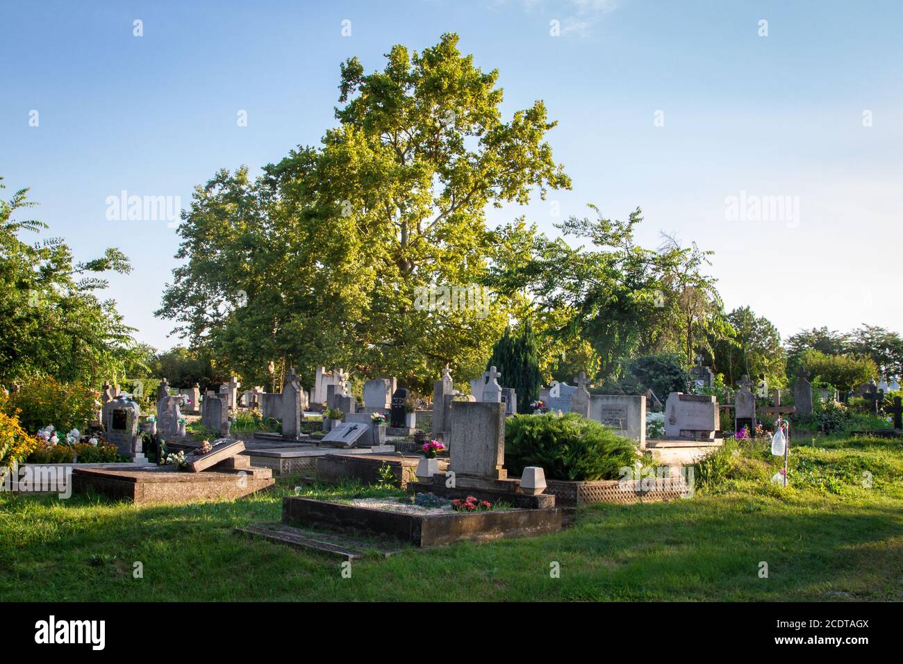 Graveyard of the town Tompa in South Hungary Stock Photo