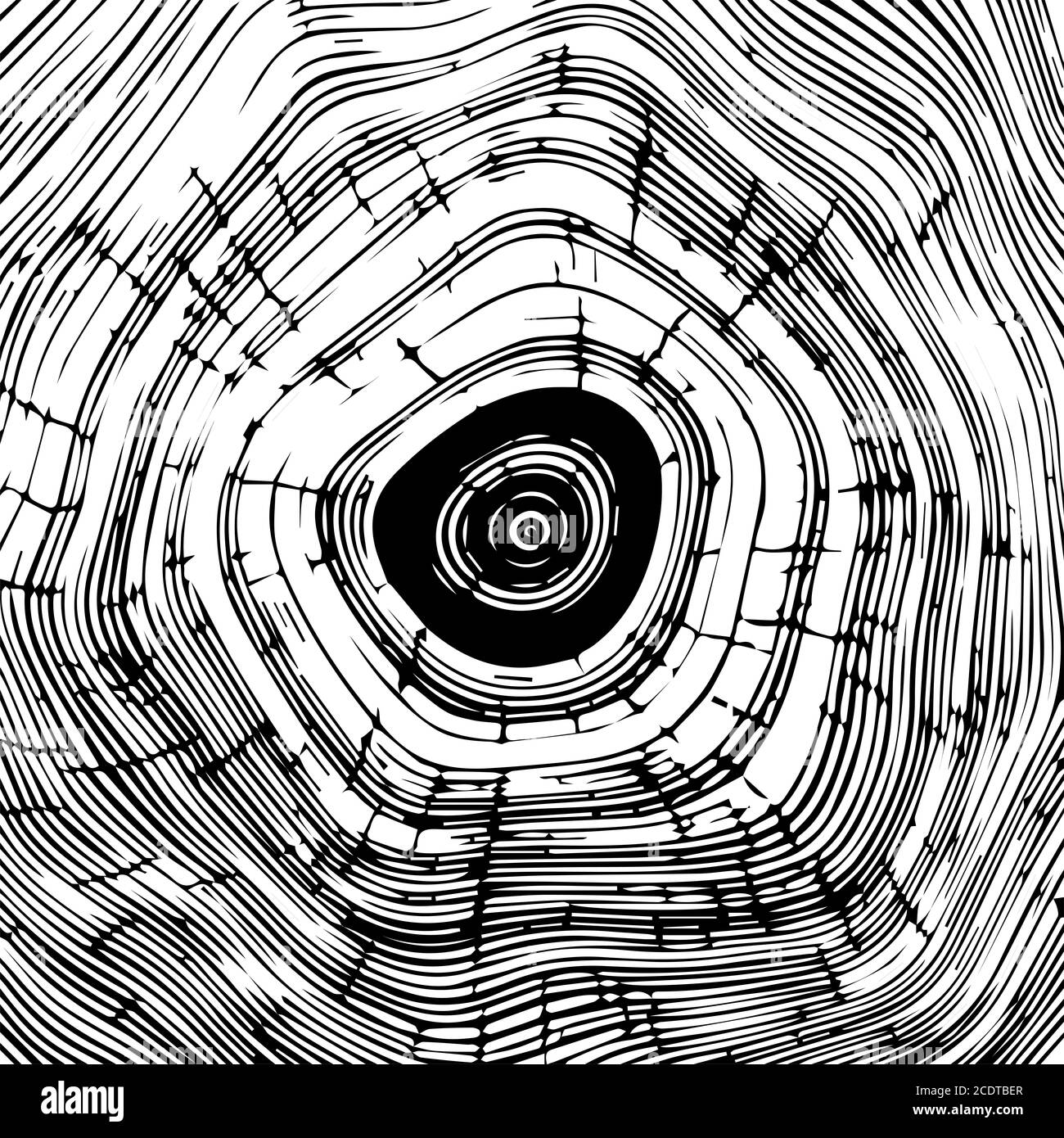 Cross section of tree stump background texture, Eps 10 illustration Stock Photo