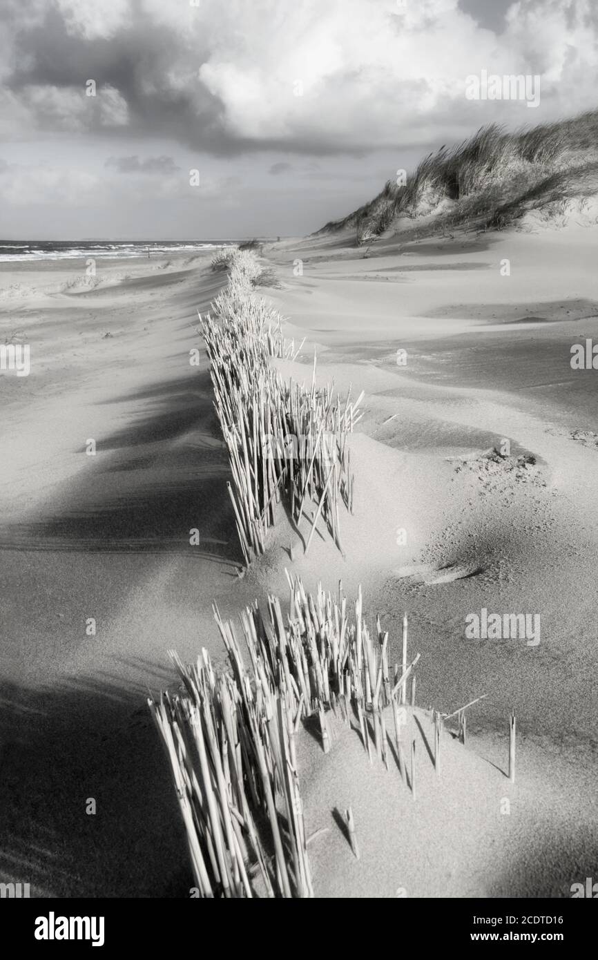 Beach black and white hi-res stock photography and images - Alamy