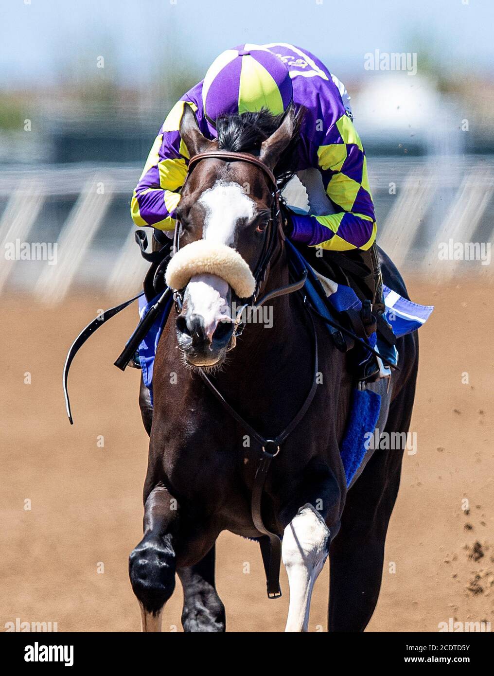 Del Mar, California, USA. August 29, 2020, Del Mar, California, USA: AUG 29: Kentucky Derby hopeful, Honor AP works out at Del Mar Thoroughbred Club with regular jockey Mike Smith aboard, in Del Mar, California on August 29, 2020. Evers/Eclipse Sportswire/CSM Credit: Cal Sport Media/Alamy Live News Stock Photo