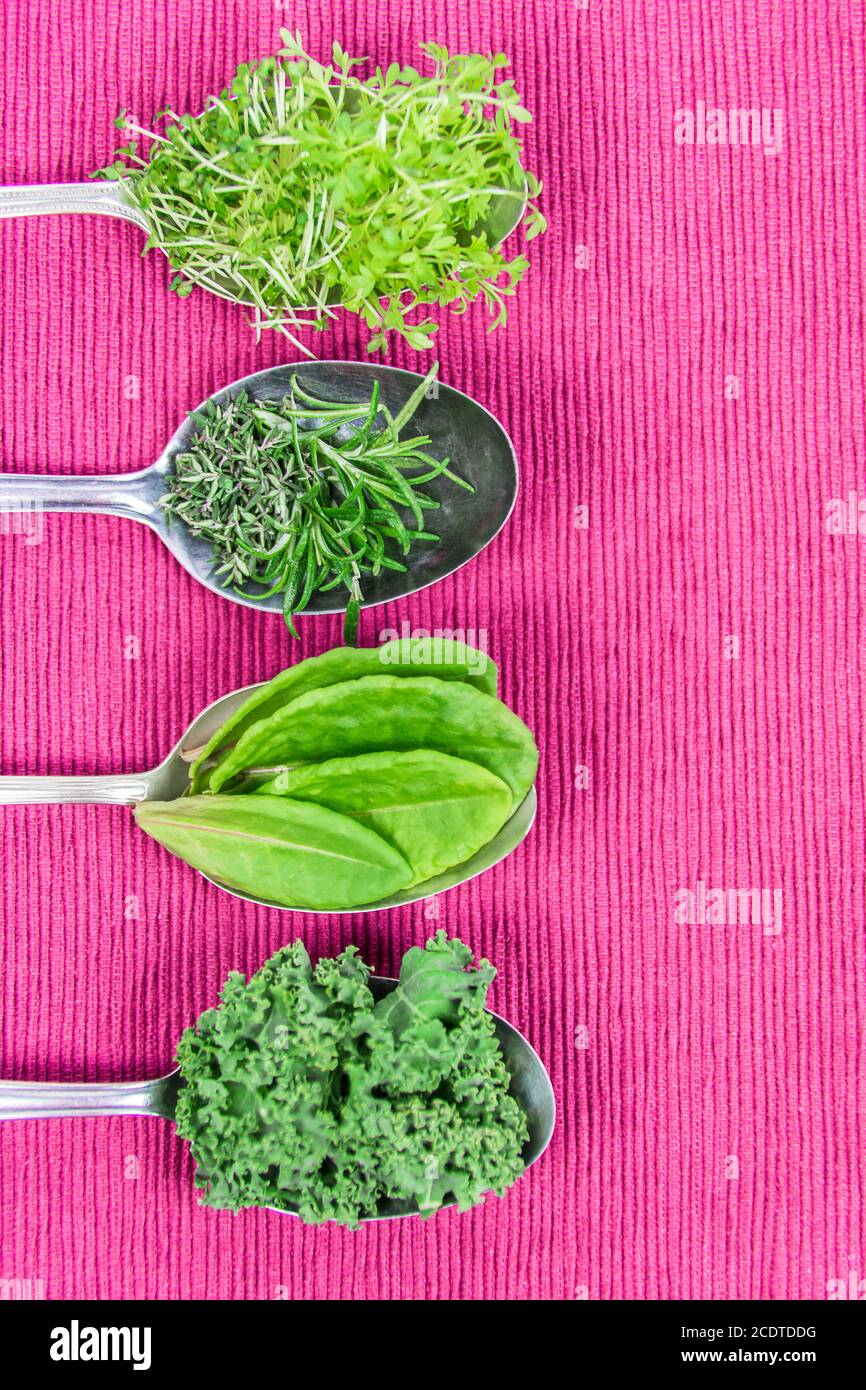 Vitamins - various herbs on spoons Stock Photo