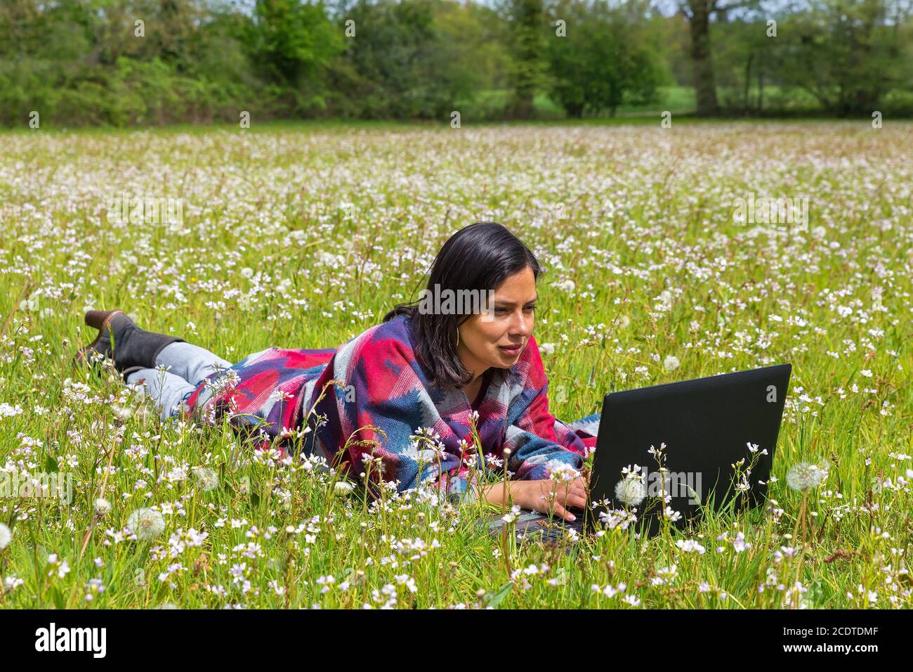 Woman lying in field of flowers with  computer Stock Photo